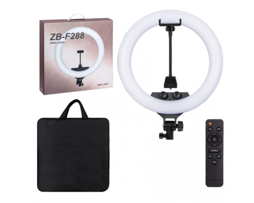 Селфи кольцо 55 см 22’’ ZB-F488 80 W