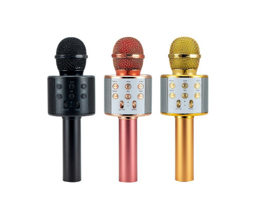 Караоке микрофон D18