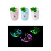 Увлажнитель и ароматизатор воздуха - ночник Succulent Humidifier