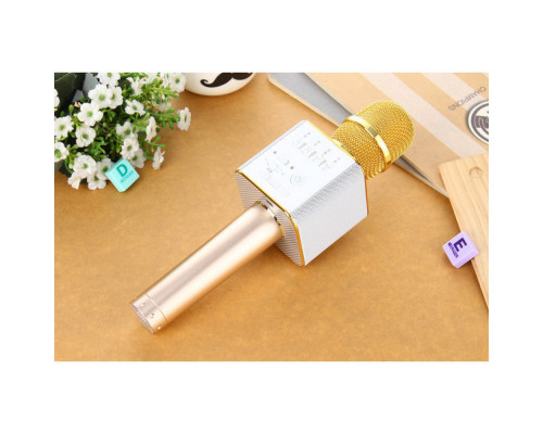 Беспроводной караоке микрофон со встроенным динамиком Micgeek Q9