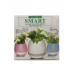 Умный музыкальный горшок для цветов Smart FlowerPot