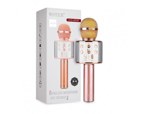 Беспроводной караоке микрофон Wster WS-858